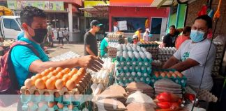 Cotización del queso y huevo en el Mercado Iván Montenegro