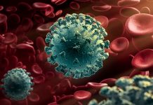¡Otra posible amenaza! Se expande virus mortal por Australia