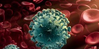 ¡Otra posible amenaza! Se expande virus mortal por Australia