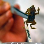 Ecuador: Descubren el canto de un sapo que se consideraba mudo Ecuador: Descubren el canto de un sapo que se consideraba mudo