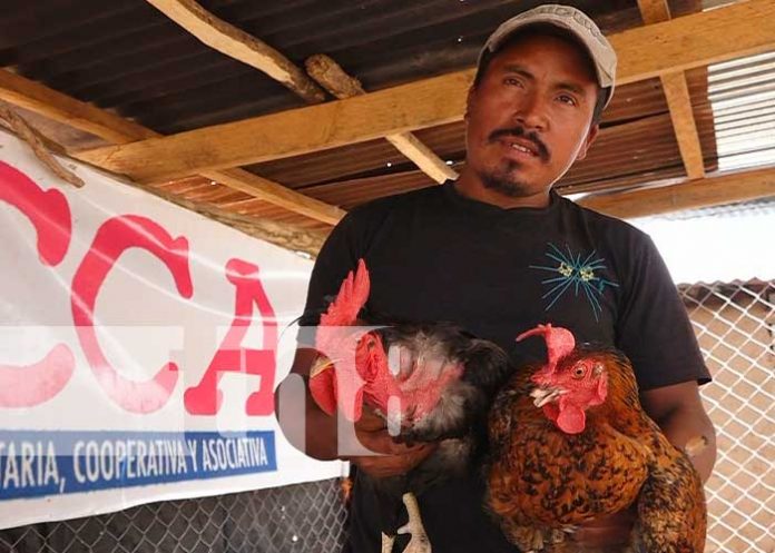 Implementación de NICAVIDA en Somoto, Madriz