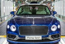 ¡A pescar carros de lujo! Se hunden 4 mil valorados en 155 MDD