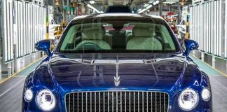 ¡A pescar carros de lujo! Se hunden 4 mil valorados en 155 MDD