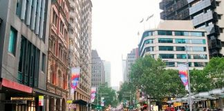 ¿Qué será? En plena calle de Sydney hallan extraño animal tras tormenta