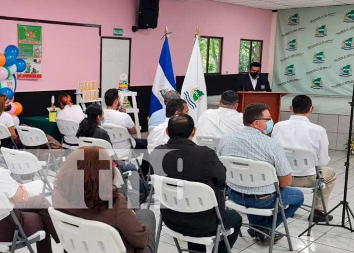 Propuestas de negocios desde la UCN