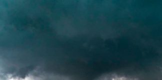 ¡Impactante! Conductor quedó atrapado por un tornado y logró escapar ileso