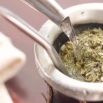 La sequía pone en peligro producción de yerba mate en Argentina