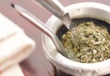 La sequía pone en peligro producción de yerba mate en Argentina
