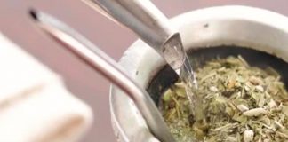 La sequía pone en peligro producción de yerba mate en Argentina