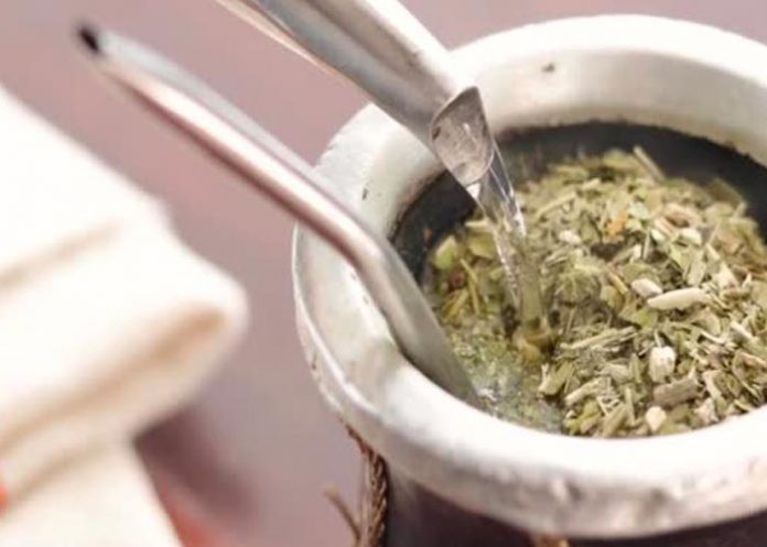 La sequía pone en peligro producción de yerba mate en Argentina