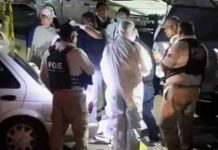 Cuatro acribillados en auto y 9 restos óseos fueron encontrados en México Cuatro acribillados en auto y 9 restos óseos fueron encontrados en México.