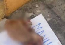 Abandonan mano de mujer junto a narcomensaje en Tijuana Abandonan mano de mujer junto a narcomensaje en Tijuana