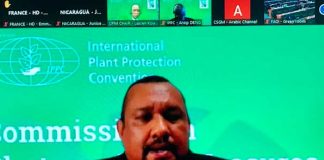 Representación de Nicaragua ante la FAO participa en importante sesión