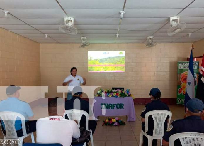 Capacitan a brigadistas para el control de incendios forestales en Jinotega