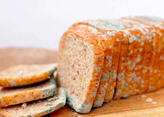 ¡El peor error! Esto pasa cuando te comes la parte “limpia” del pan con moho