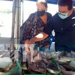 Mariscos platos más consumidos por los ciudadanos de Nicaragua