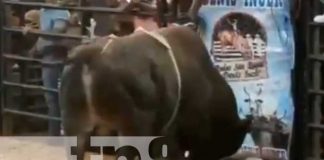 Mujer muere corneada por un toro en la barrera de San Marcos