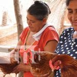 En Somoto se continúan desarrollando estrategias productivas