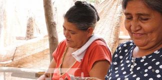 En Somoto se continúan desarrollando estrategias productivas