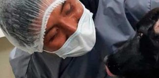 Perrita rescata de la muerte a su dueña en Bolivia