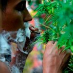 ¿Sabes qué es 4/20? En el Día Internacional de la marihuana te lo contamos