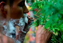 ¿Sabes qué es 4/20? En el Día Internacional de la marihuana te lo contamos ¿Sabes qué es 4/20? En el Día Internacional de la marihuana te lo contamos