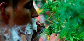 ¿Sabes qué es 4/20? En el Día Internacional de la marihuana te lo contamos