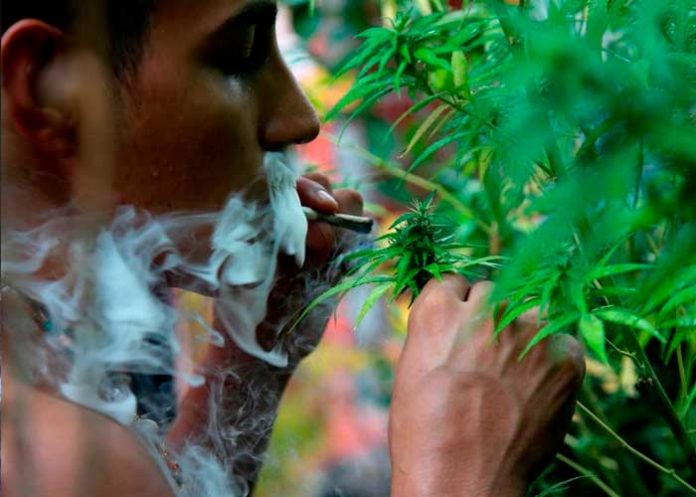 ¿Sabes qué es 4/20? En el Día Internacional de la marihuana te lo contamos