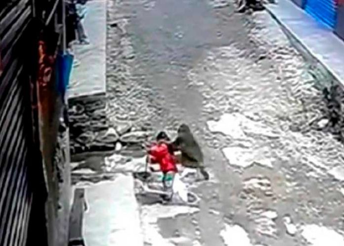 Niña es raptada por un mono salvaje en China