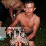 Nace ternero de dos cabezas en Santo Tomás