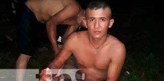 Nace ternero de dos cabezas en Santo Tomás