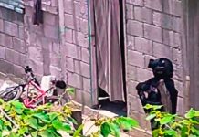 En México motosicarios exterminan a familia completa en su casa En México motosicarios exterminan a familia completa en su casa.