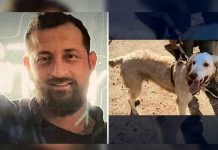 Encuentran a excursionista muerto en Los Ángeles