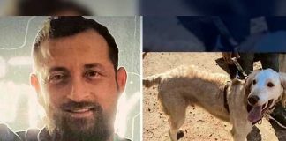 Encuentran a excursionista muerto en Los Ángeles