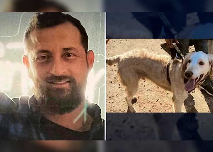 Encuentran a excursionista muerto en Los Ángeles