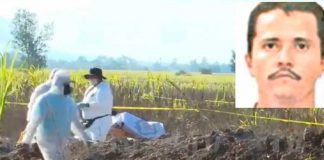 En México encuentran 20 bolsas con restos humanos en territorio de “El Mencho”.