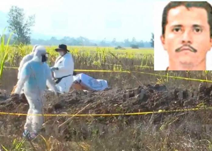 En México encuentran 20 bolsas con restos humanos en territorio de “El Mencho”.