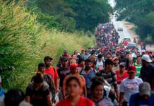 México disuelve caravana de migrantes y detiene a más de 700 personas México disuelve caravana de migrantes y detiene a más de 700 personas