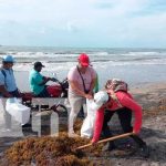 En el Caribe Norte se prepara condiciones para apertura del Plan Playa 2022 Caribe Norte prepara condiciones para apertura del Plan Playa 2022