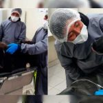 Perro salva a su dueña de ser apuñalada por su ex Perro salva a su dueña de ser apuñalada por su ex