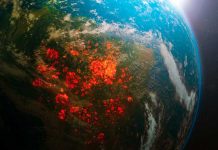«Nuestro planeta, nuestra salud» OMS conmemora Día Mundial de la Salud OMS conmemora Día Mundial de la Salud