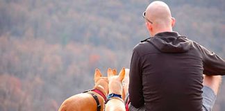México: Hombre se suicida tras perder a sus perritos por envenenamiento