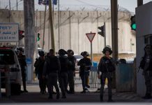 Ciudadana muere a balazos luego de apuñalar a un policia en Palestina
