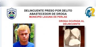 9 detenidos por diferentes delitos en el Caribe Sur