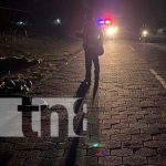 Motociclista impacta contra un semoviente en Jalapa Motociclista impacta contra un semoviente en Jalapa