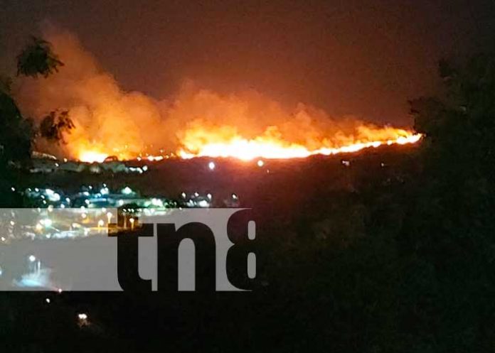 Logran sofocar incendio forestal en el cerro 