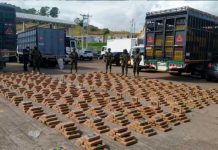 Al menos 1 tonelada de cocaína se incautó en frontera de Ecuador Ecuador incauta droga