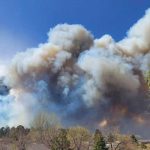 Evacuan a 700 familias por incendio forestal en Arizona Evacuan a 700 familias por incendio forestal en Arizona