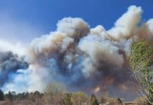 Evacuan a 700 familias por incendio forestal en Arizona