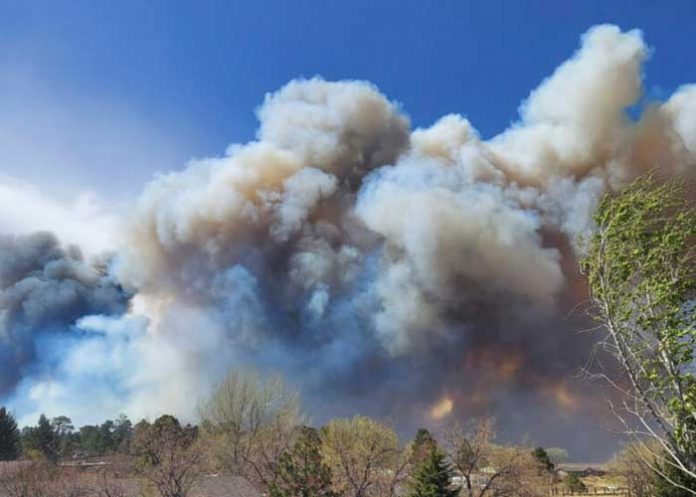 Evacuan a 700 familias por incendio forestal en Arizona